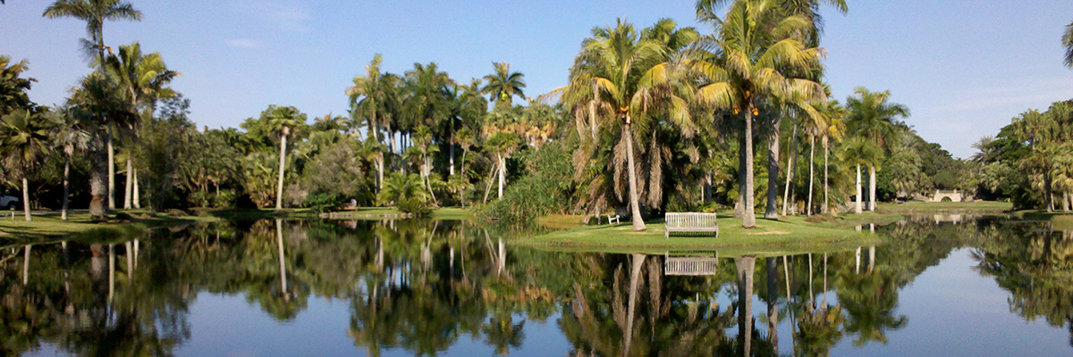 Lake Management South Florida